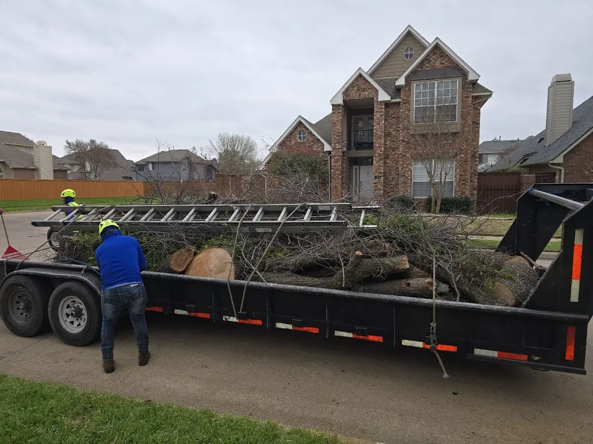 Expert Lot Clearing with proper safety equipment in Manville